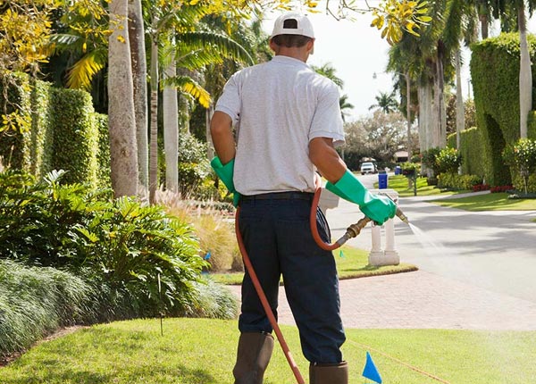 About Larchwood IA Pest Control